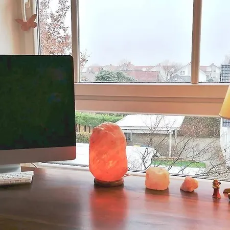 Helles Ruhiges Business-Studio Mit Fruehstueck An A2 Lejlighed Barleben